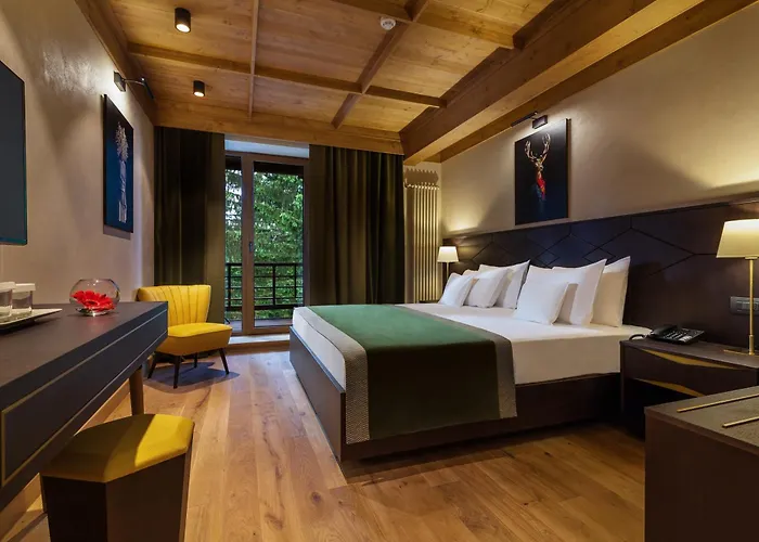 Ana Hotels Bradul Poiana Brasov